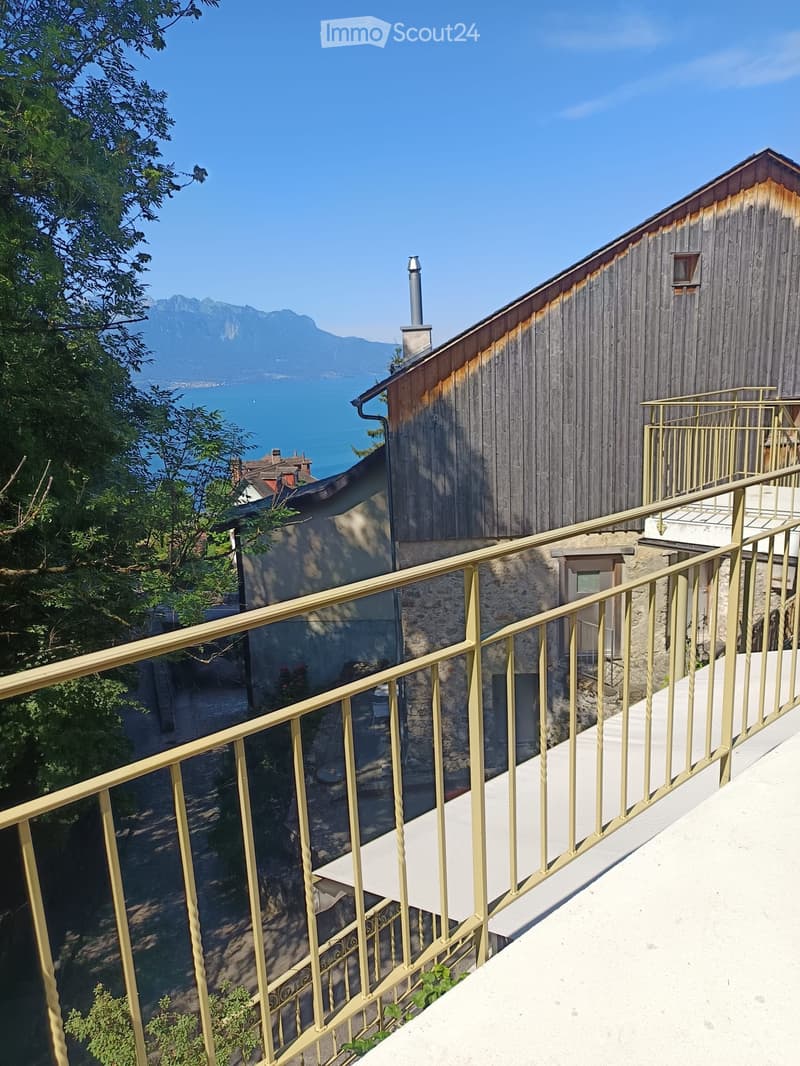 Ripreso il contratto di affitto fino al 10/2028 - 3,5 locali Montreux (3)