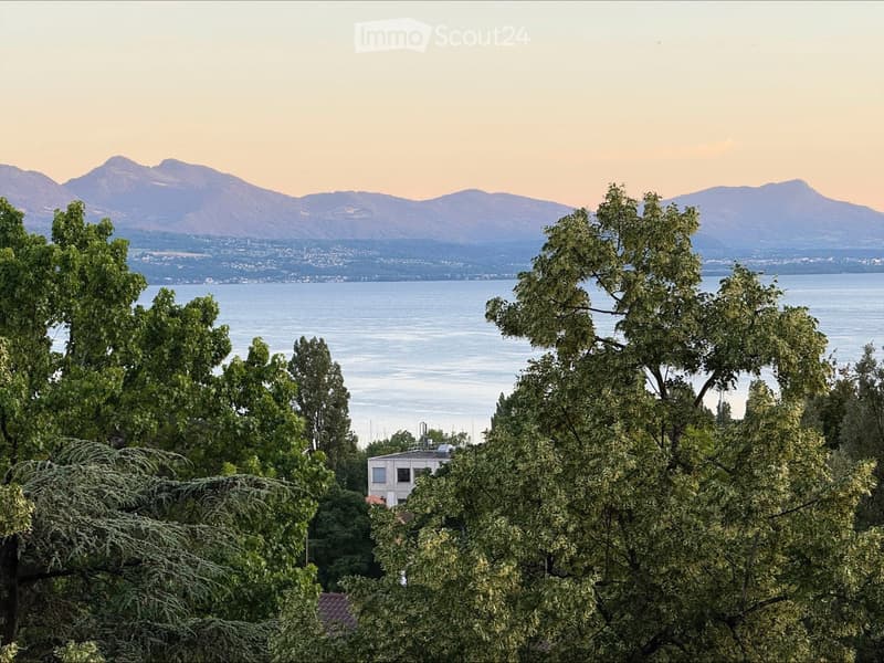 3,5 locali a LAUSANNE-vista lago (1)