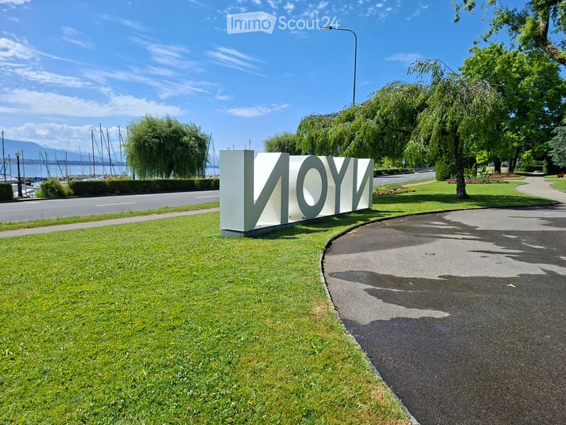 Cerco camera a Nyon per 3 mesi (1)