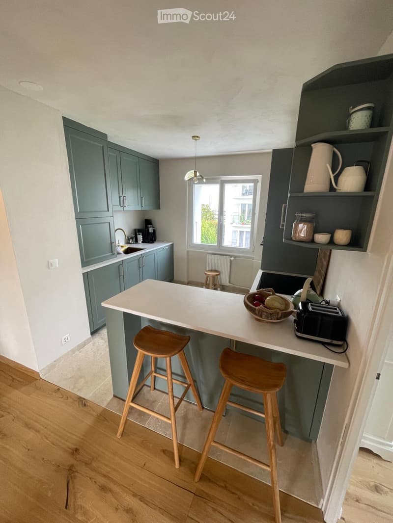 3.5 Zimmer Nyon ruhig (2)