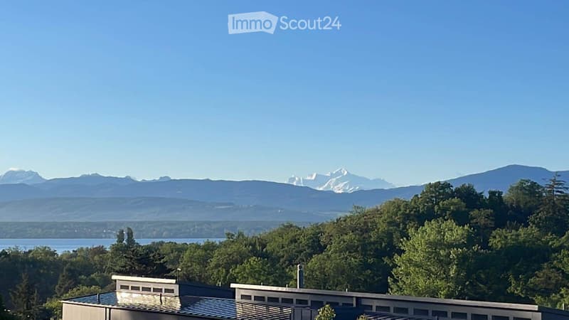 3.5 Zimmer Nyon ruhig (1)