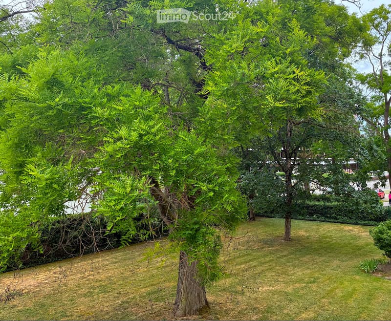 Spacious 5-room apartment with balconies, parquet (1)