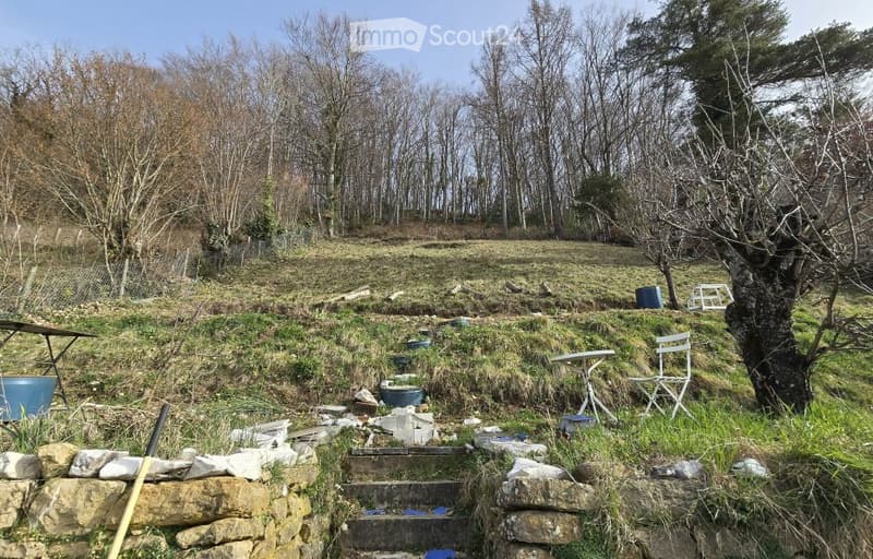 Appartamento magnifico con grande giardino e terrazza (4)