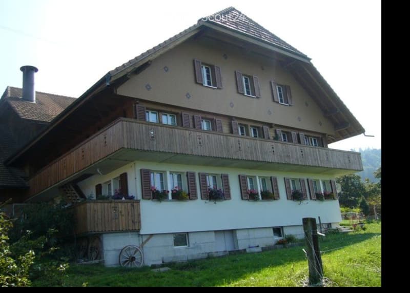 Appartamento di 4,5 camere in una casa colonica (5)