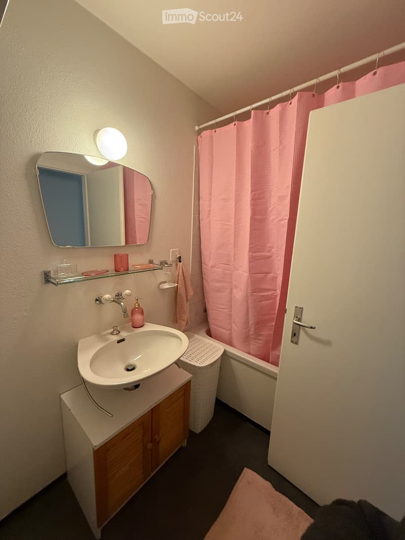 Wohnung 3 Zimmer (3)