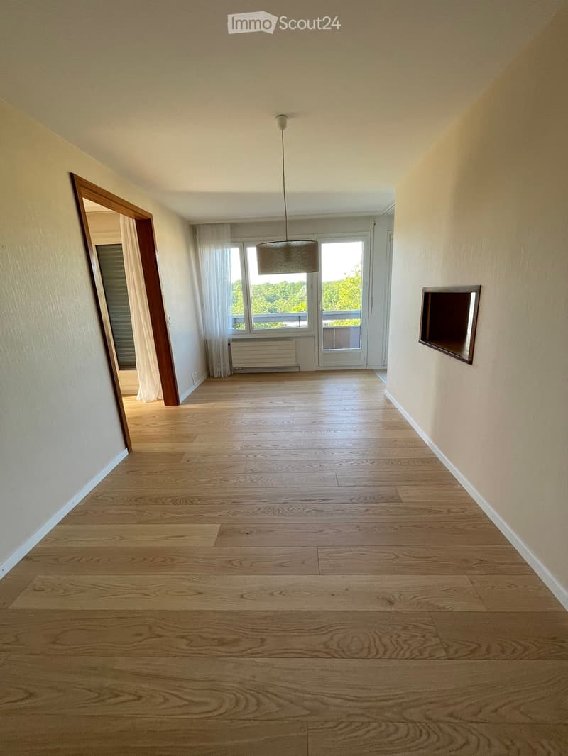 Appartamento 5,5 locali in affitto dal 1° agosto a Nyon (1)