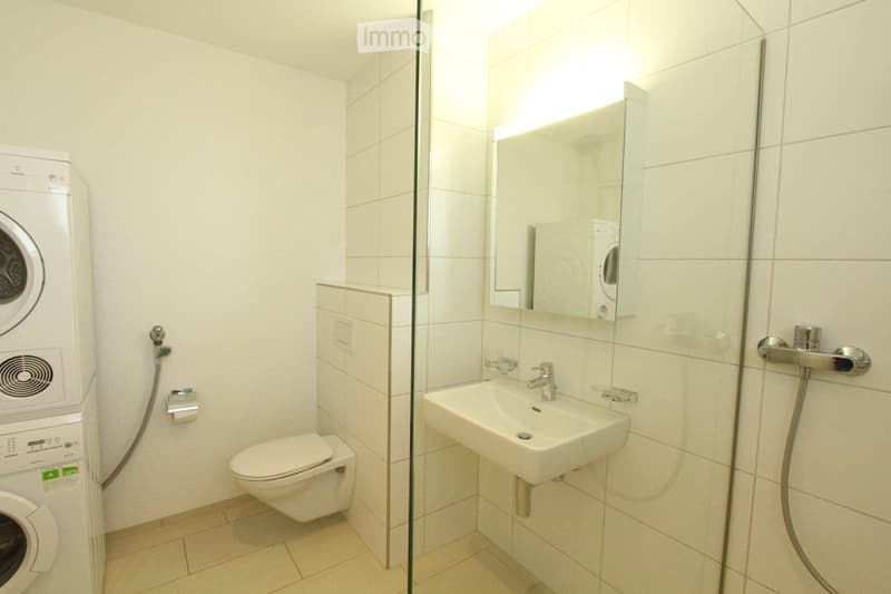 Charmant appartement rénové de 3,5 pièces à Sargans (5)