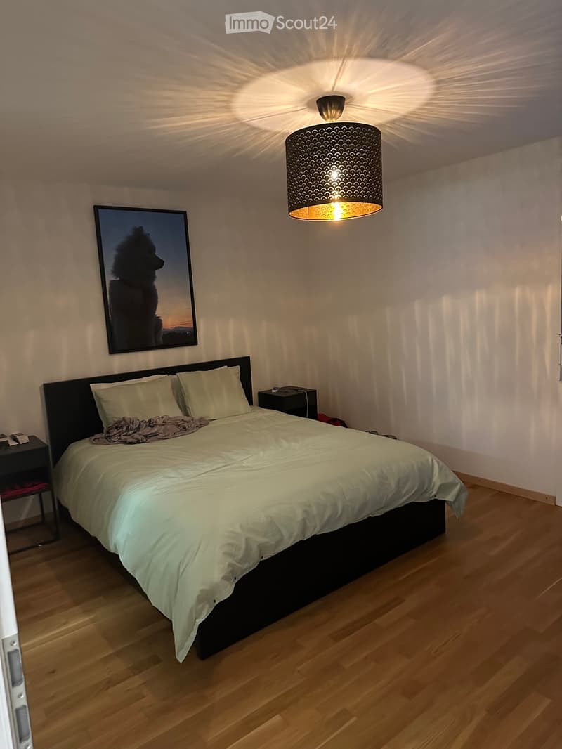 Appartement 4,5 pièces à louer au 1er novembre 2026 (5)