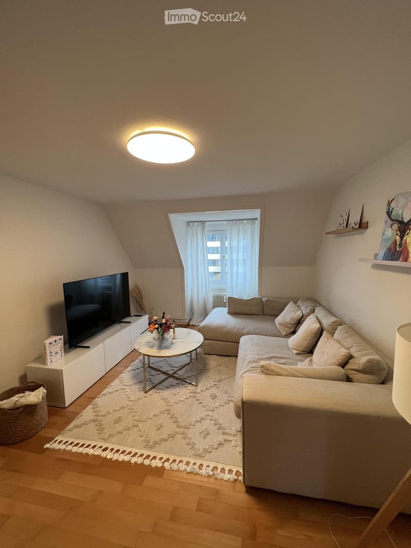 Charmante, renovierte 2,5-Zimmer-Wohnung in Schaffhausen (2)