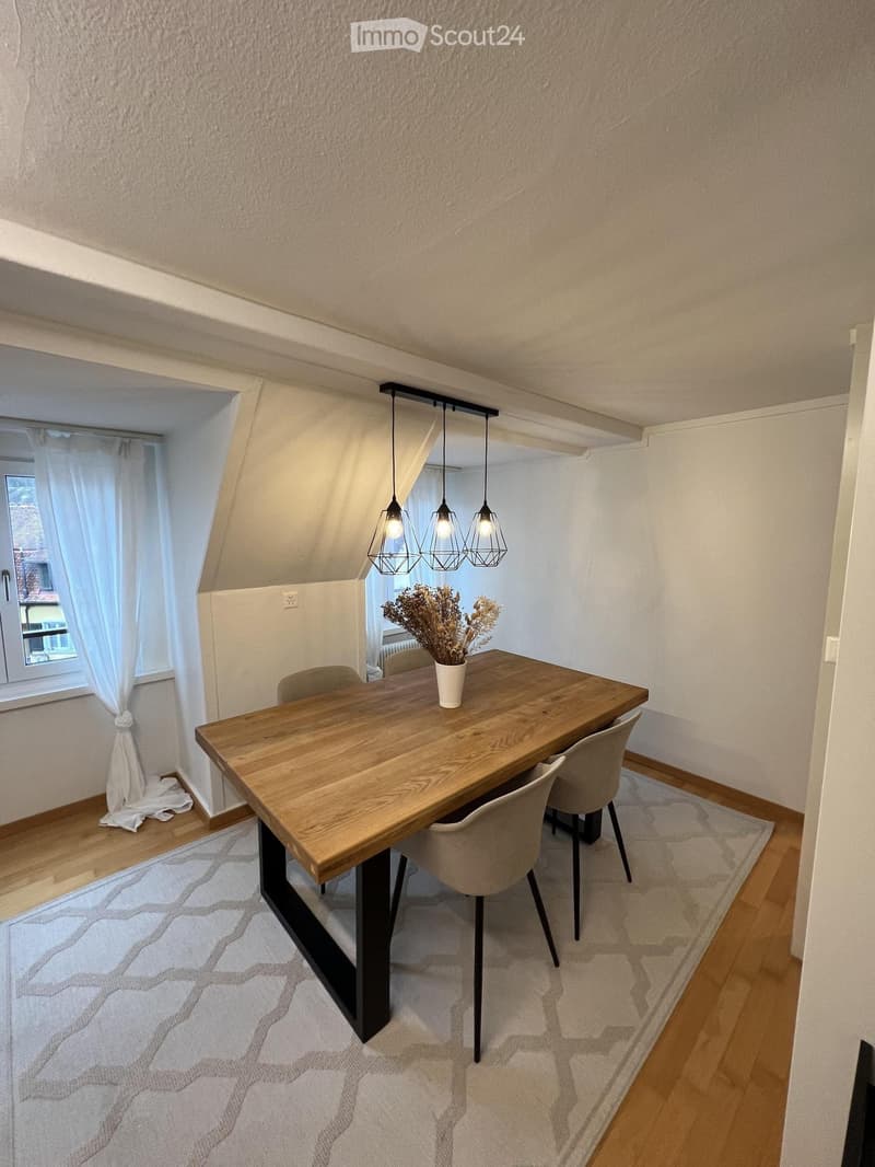 Charmante, renovierte 2,5-Zimmer-Wohnung in Schaffhausen (5)