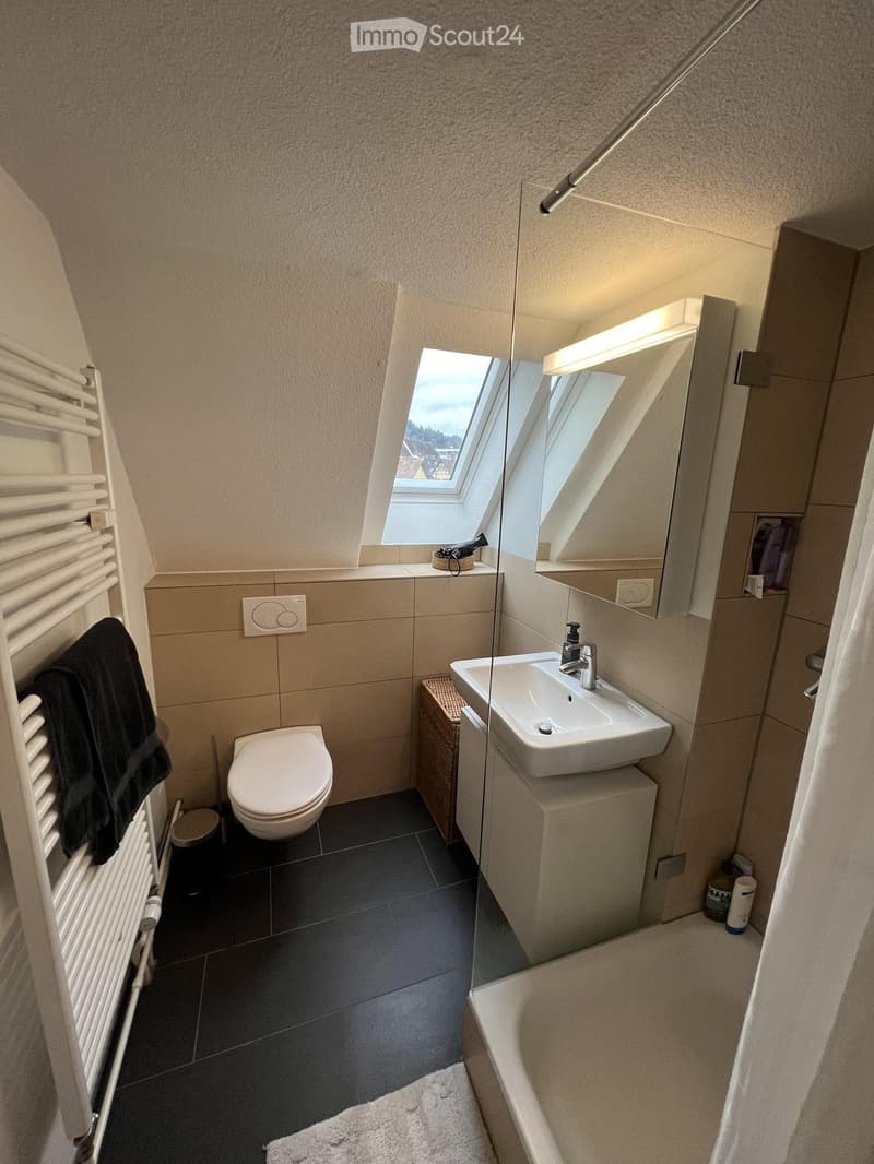 Charmante, renovierte 2,5-Zimmer-Wohnung in Schaffhausen (3)
