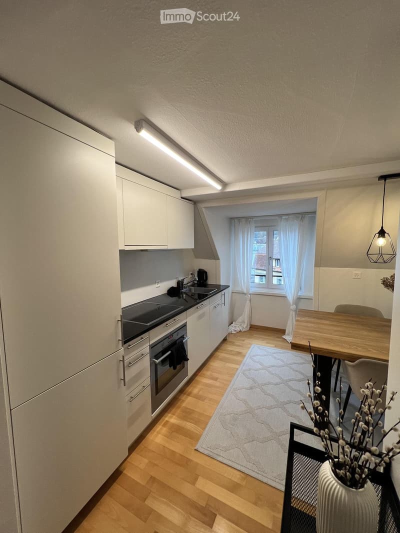 Charmante, renovierte 2,5-Zimmer-Wohnung in Schaffhausen (4)