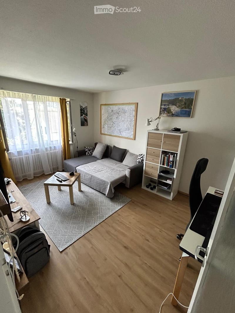 Renovated 2.5-room apartment in Wettingen (2)