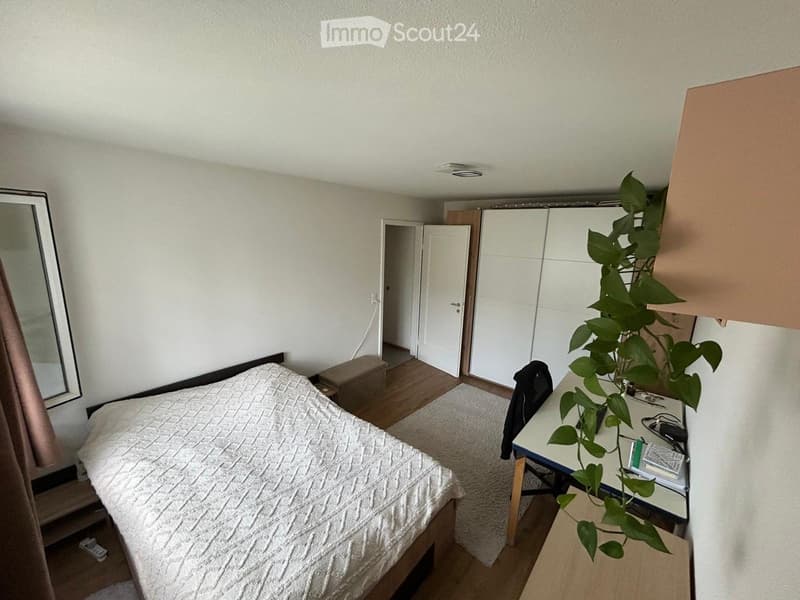 Renovated 2.5-room apartment in Wettingen (1)