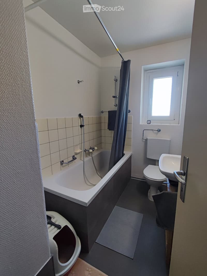 Geräumiges, sehr helles 3-Zimmer-Apartment (5)