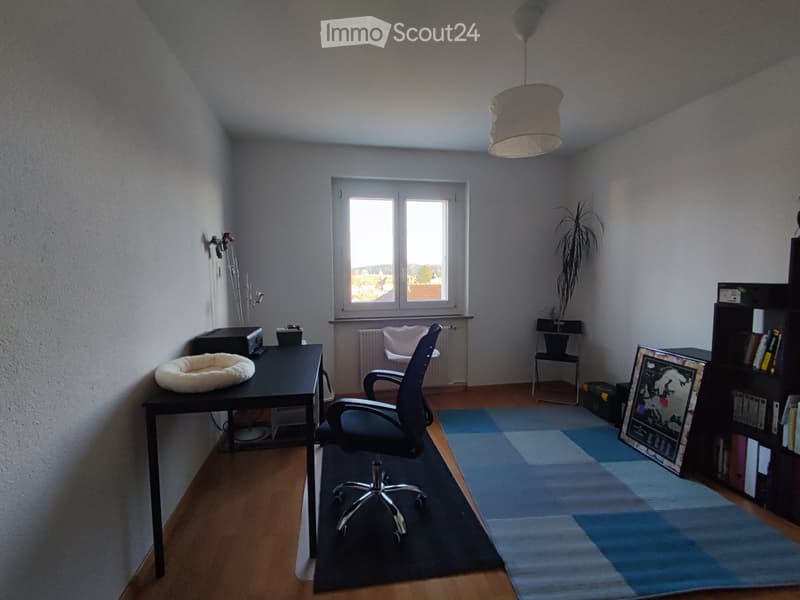 Geräumiges, sehr helles 3-Zimmer-Apartment (4)