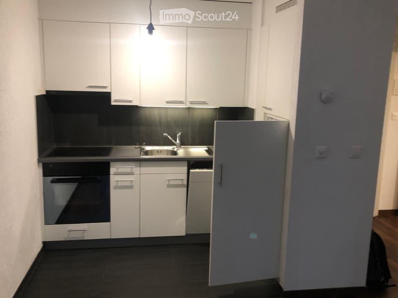 Appartement im Zentrum von Lausanne (5)