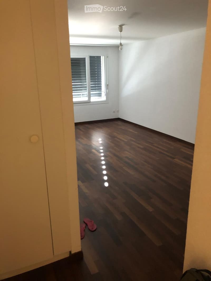 Appartement im Zentrum von Lausanne (2)