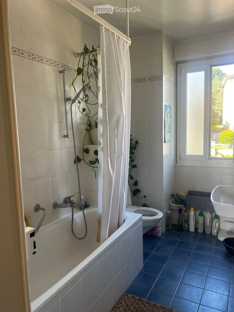 Wohnung 2,5 Zimmer - 1220CHF pro Monat (5)