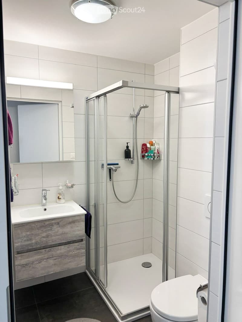 Großes 3.5-Zimmer-Apartment 90 m² | Letztes Stockwerk | Terrasse 25 m² | (2)
