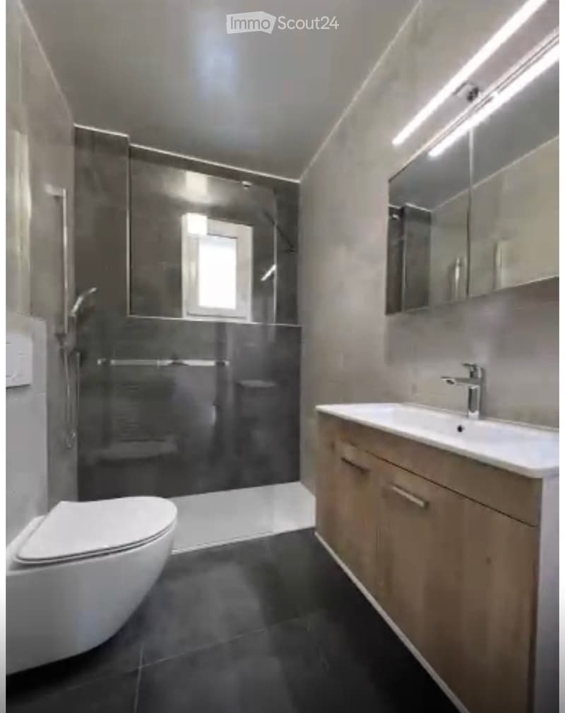 Wohnung 3 Zimmer mit Balkon zur Miete (verfügbar ab sofort) (5)