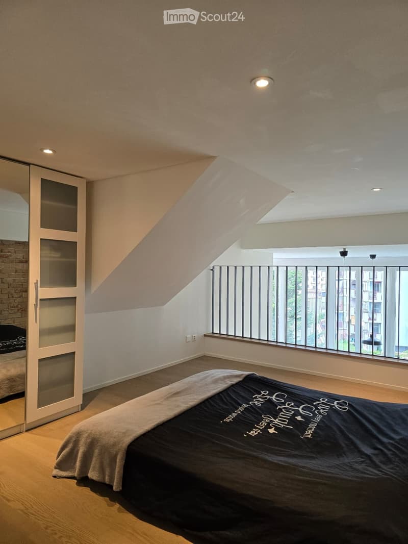 Beautiful loft / Malley district (4)