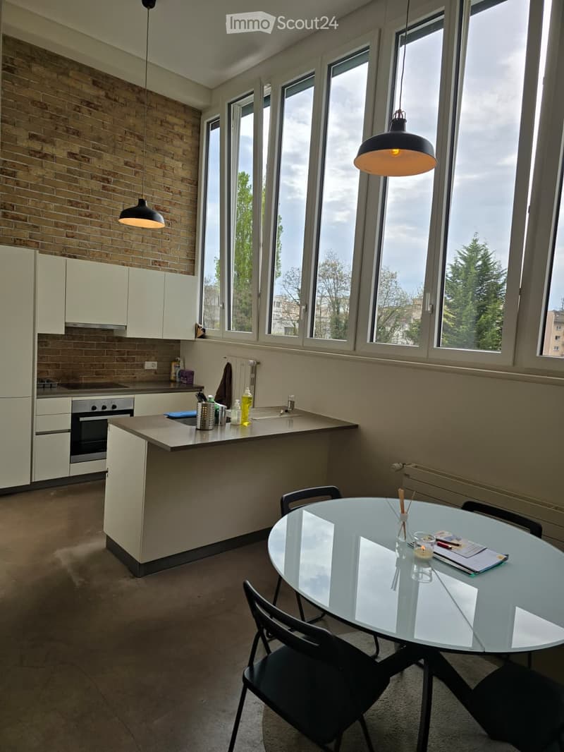 Beautiful loft / Malley district (3)