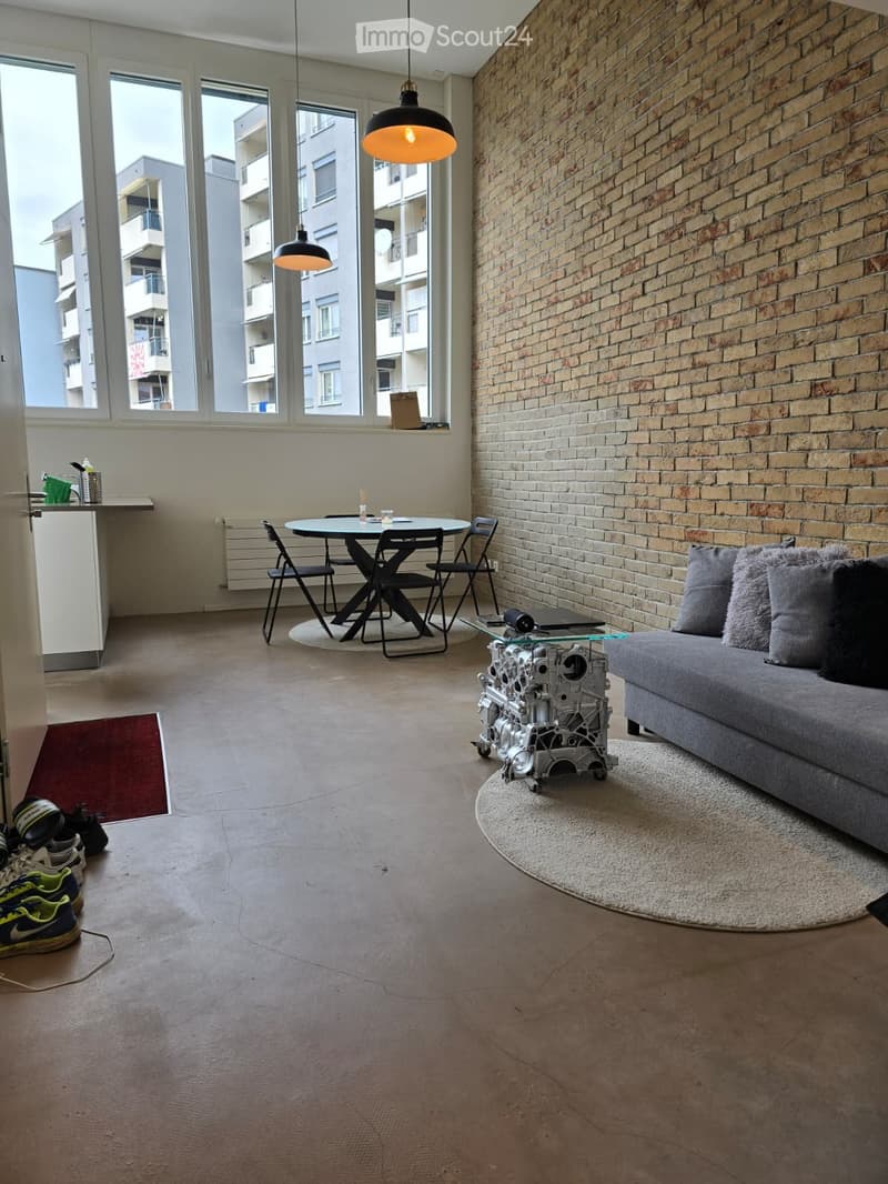 Beautiful loft / Malley district (2)