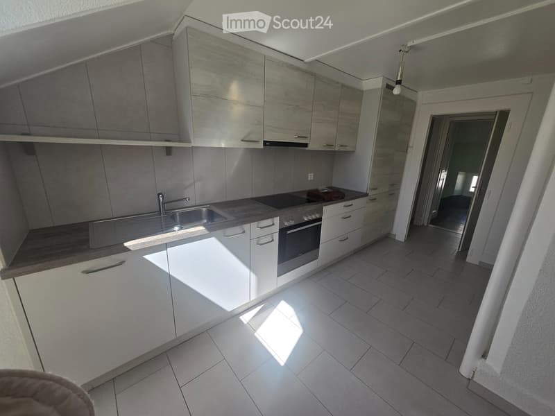 Appartamento ristrutturato di 4,5 locali, con giardino e posto auto (2)
