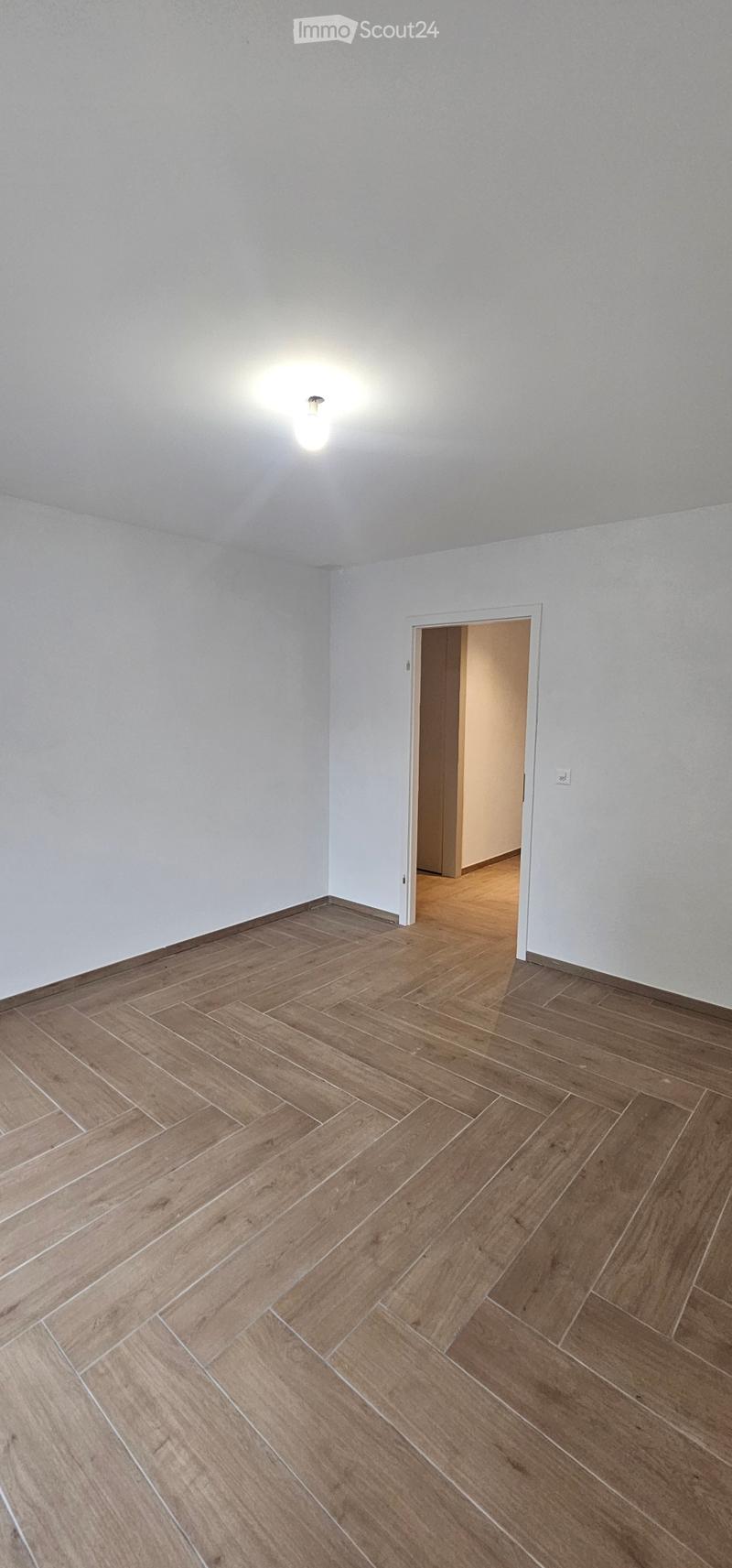 Appartamento nuovo 2 locali in affitto (2)