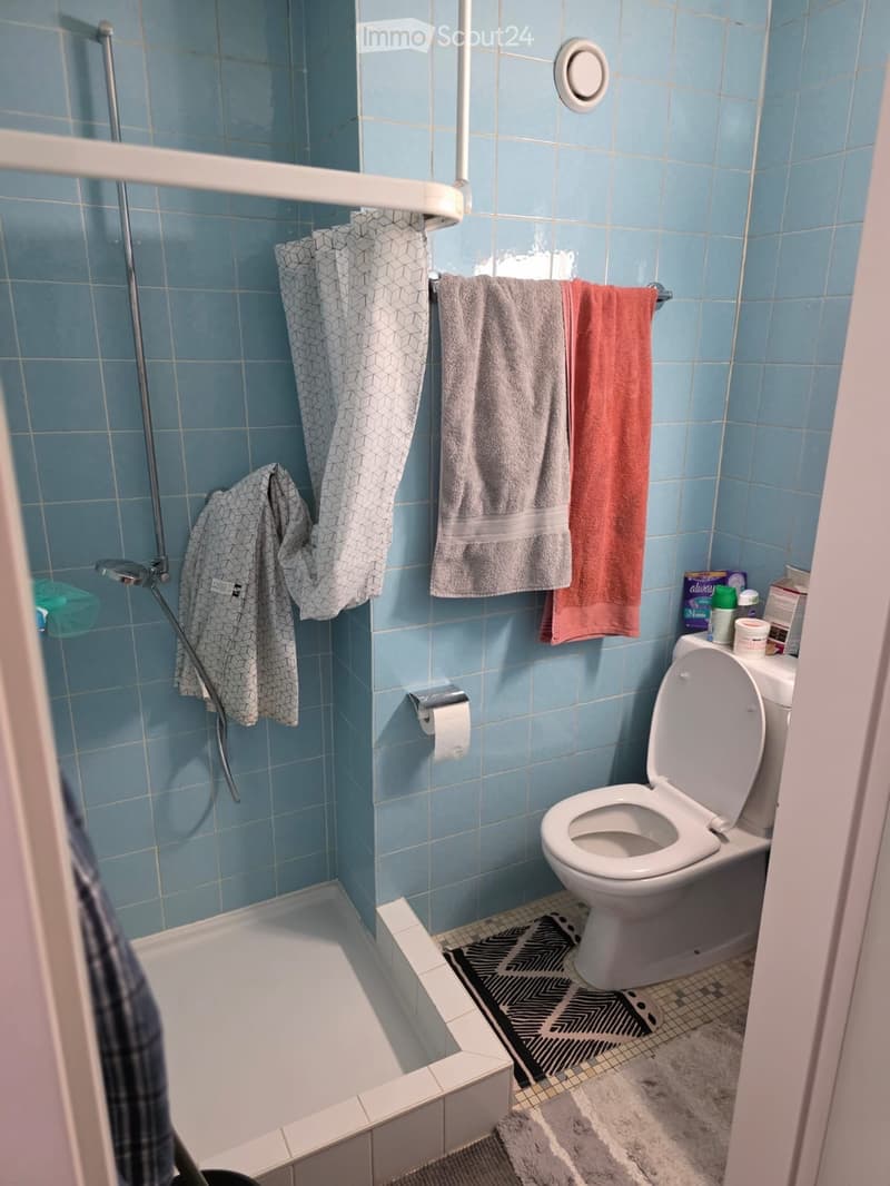 Monolocale in affitto con posizione pratica e affitto conveniente (3)