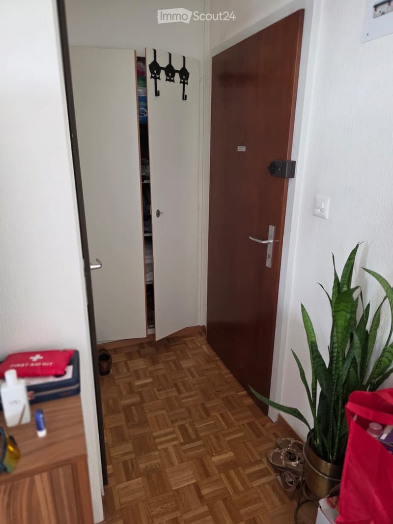 Monolocale in affitto con posizione pratica e affitto conveniente (5)