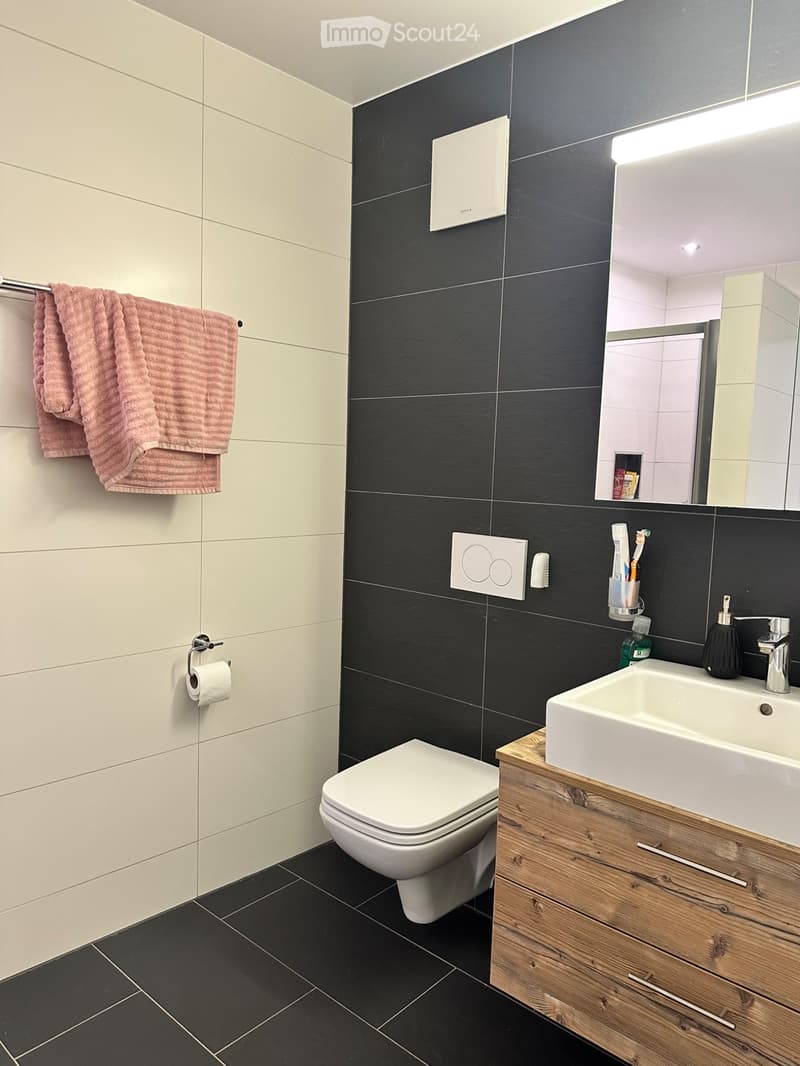 In affitto, splendido appartamento di 2,5 locali a Charmey (5)