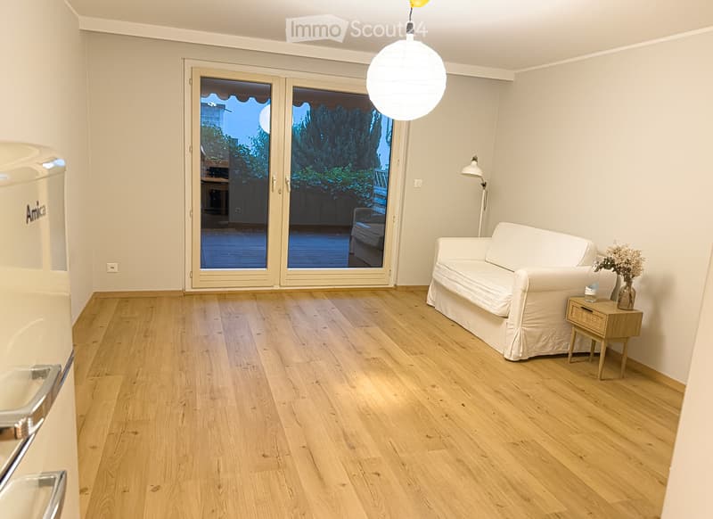 Monolocale di 1,5 locali appena ristrutturato con grande terrazza & sauna (2)