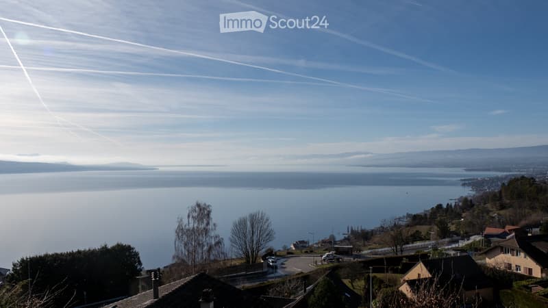 Chalet avec Vue Panoramique sur le Léman (2)