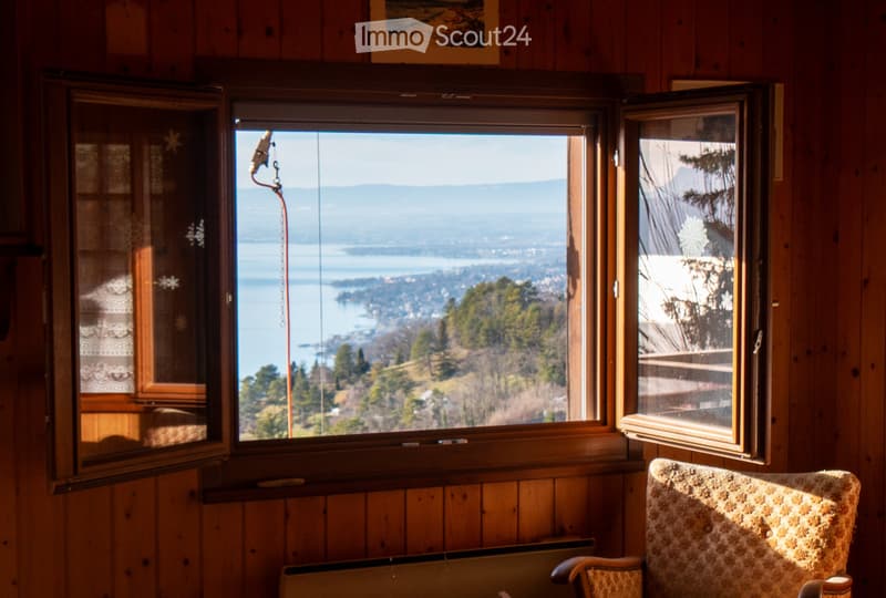 Chalet avec Vue Panoramique sur le Léman (3)