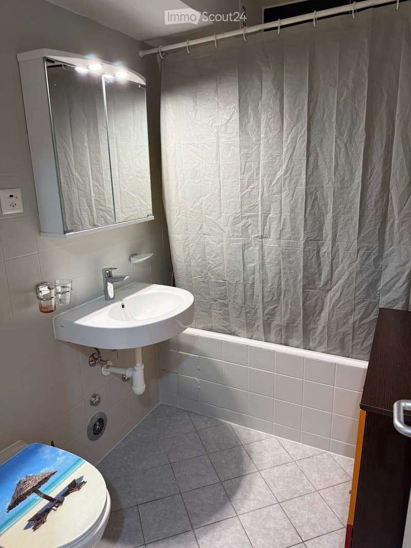 Fully Furnished Apartment (2.5 Rooms)  Fully Equipped (5)