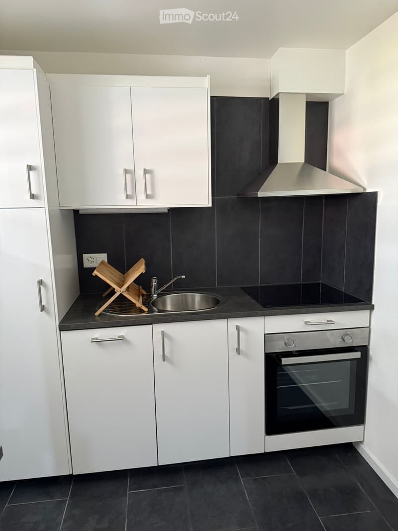 Fully Furnished Apartment (2.5 Rooms)  Fully Equipped (4)