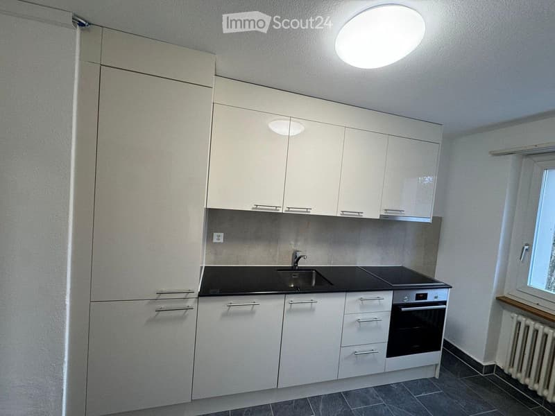 Charming 4-room apartment in Uzwil (1)