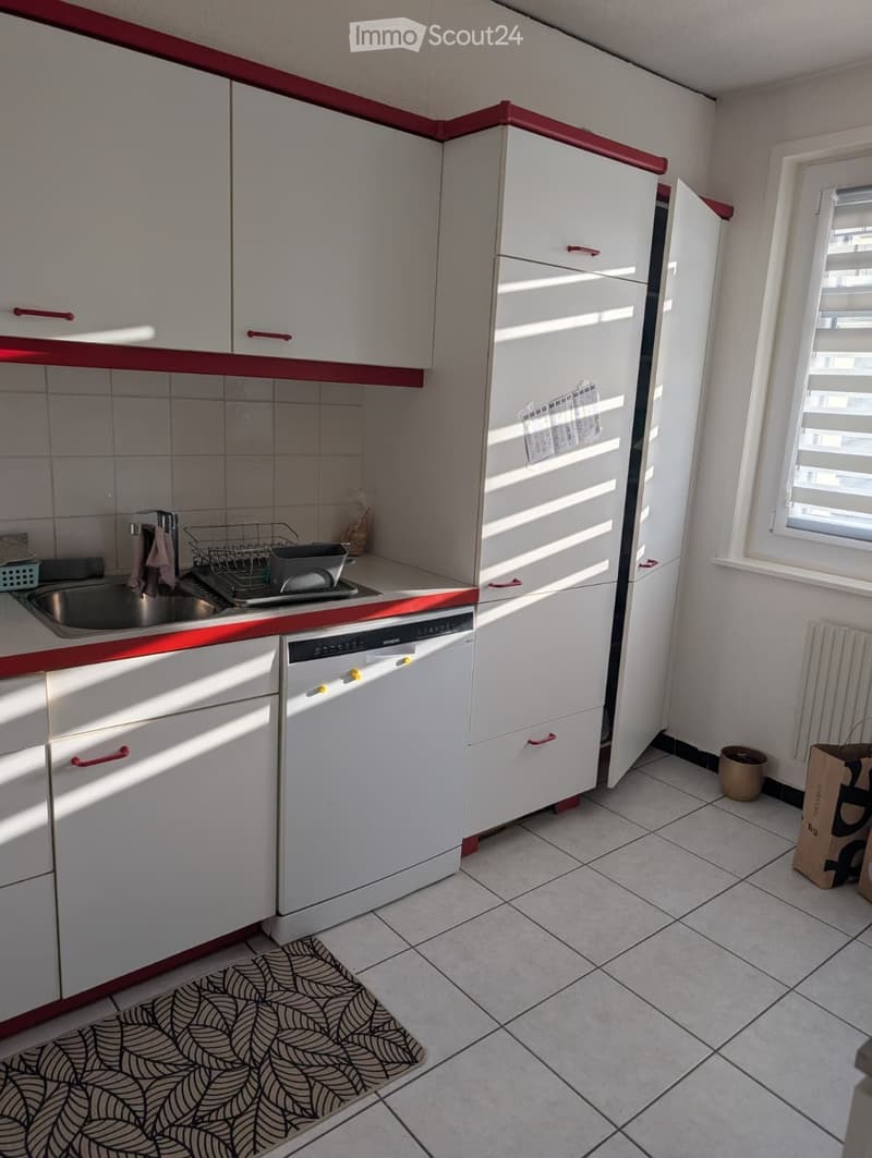 Grande appartamento luminoso e tranquillo (3)