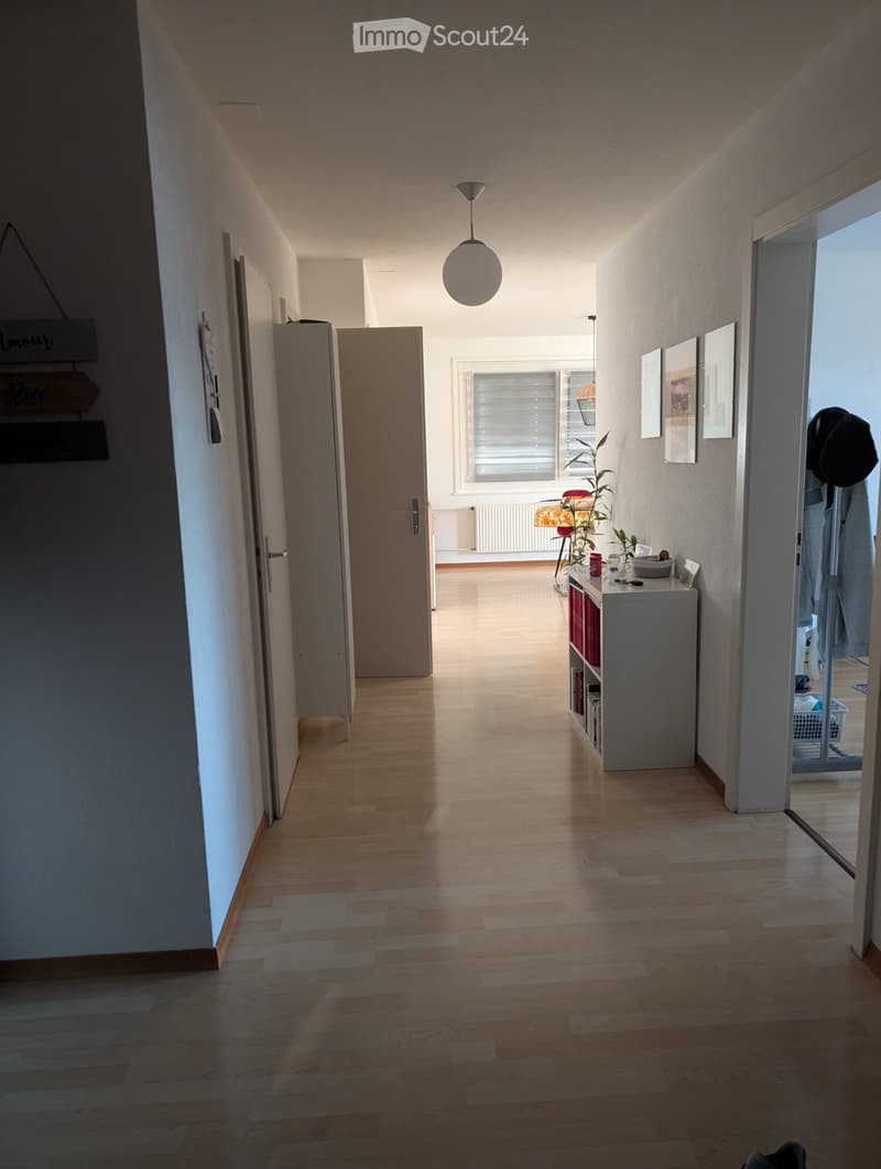 Grande appartamento luminoso e tranquillo (4)