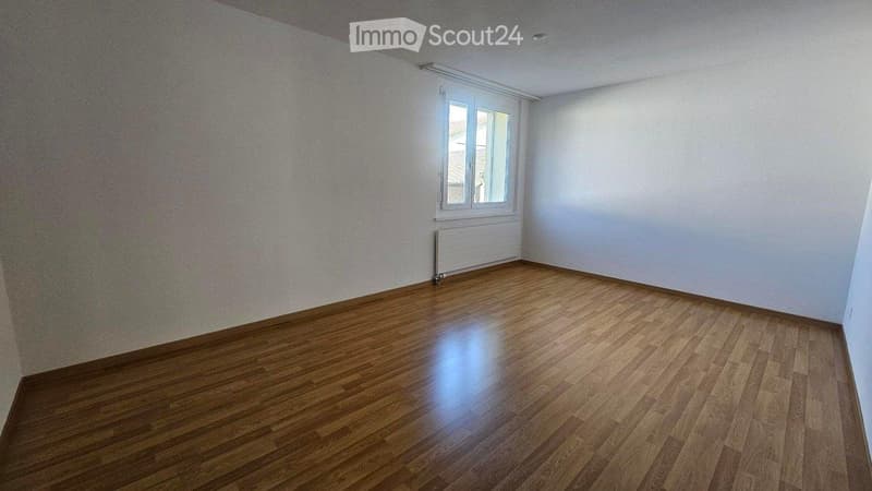 Delizioso appartamento 3 locali a Frauenfeld (2)