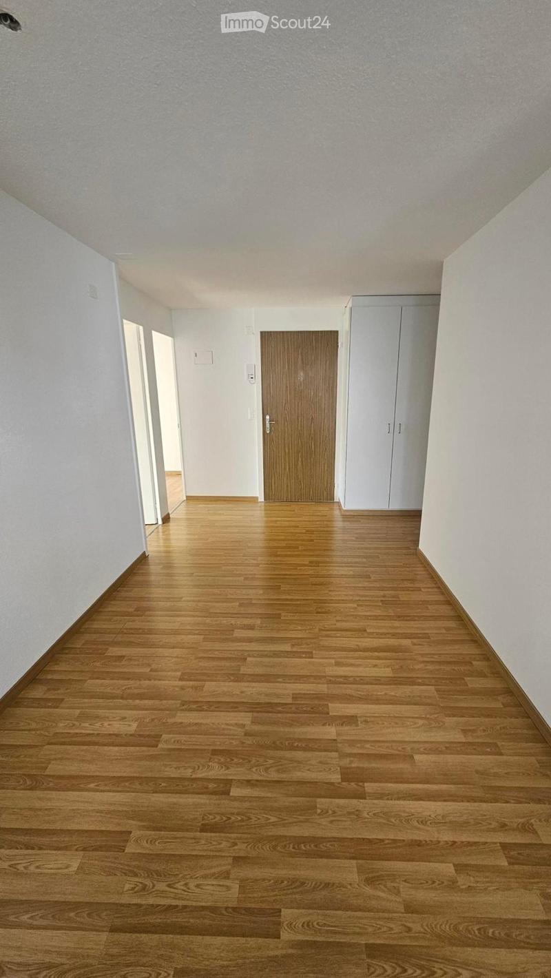 Delizioso appartamento 3 locali a Frauenfeld (5)