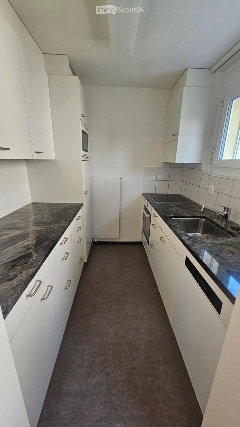 Delizioso appartamento 3 locali a Frauenfeld (3)