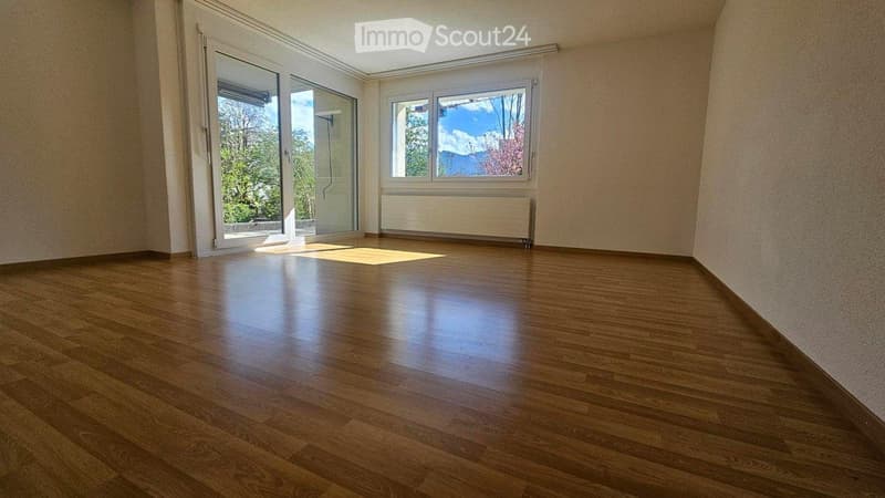 Delizioso appartamento 3 locali a Frauenfeld (4)