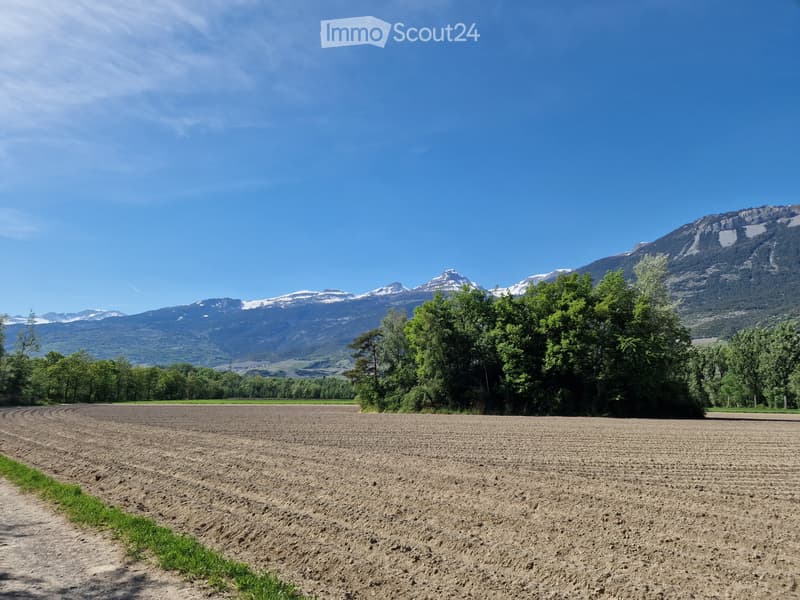 3 locali e mezzo in affitto in un dominio (1)