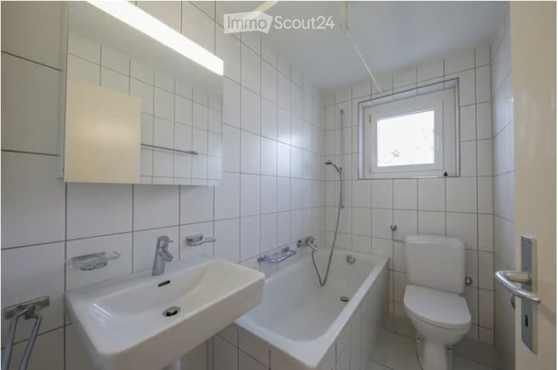 4 Bedroom Apartment for Rent in Olten (4)
