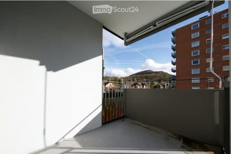 4 Bedroom Apartment for Rent in Olten (5)