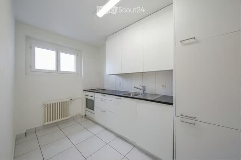 4 Bedroom Apartment for Rent in Olten (3)
