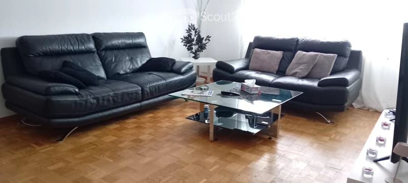 Appartamento arredato, 3 locali, vicino stazione Cornavin (1)